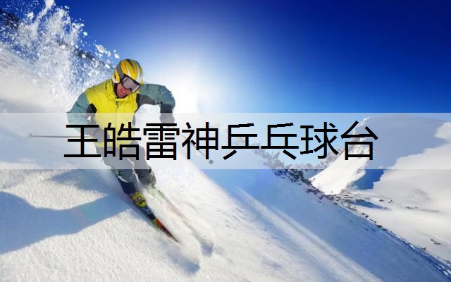 王皓雷神乒乓球台