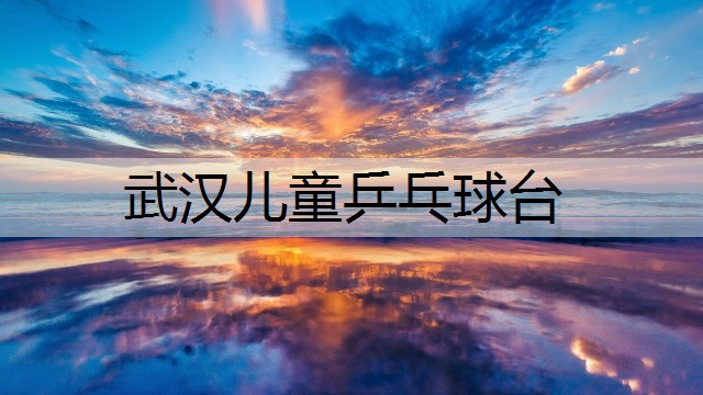 武汉儿童乒乓球台