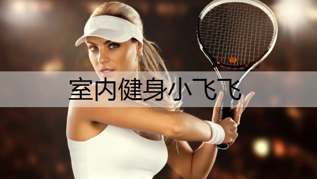 室内健身小飞飞