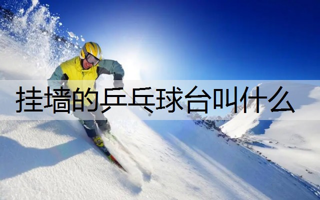 挂墙的乒乓球台叫什么