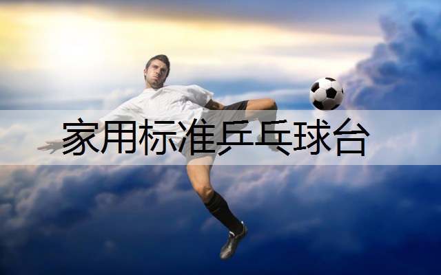 家用标准乒乓球台