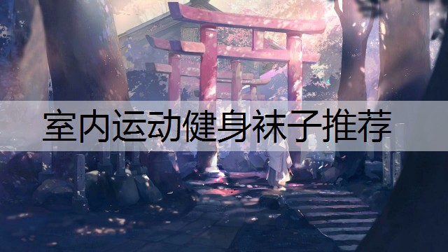 室内运动健身袜子推荐