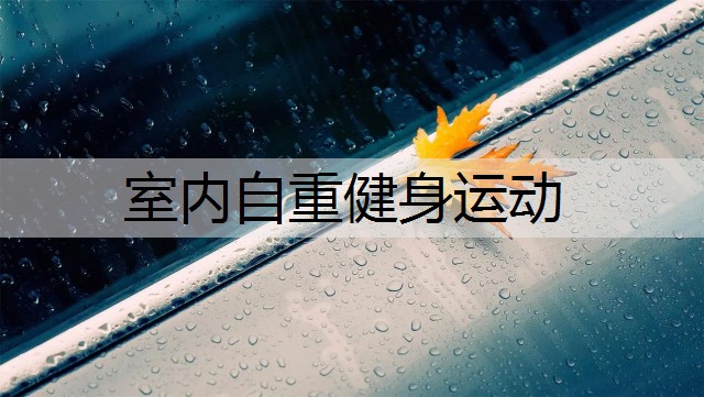 室内自重健身运动