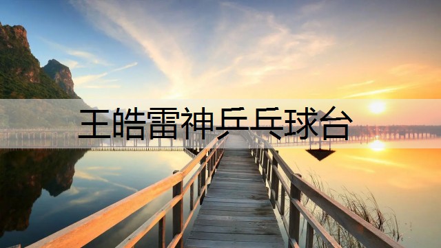 王皓雷神乒乓球台