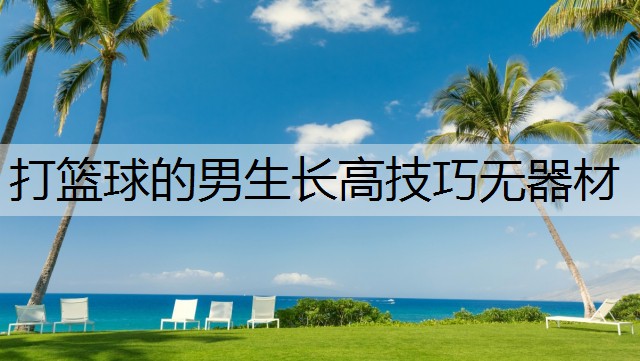 打篮球的男生长高技巧无器材