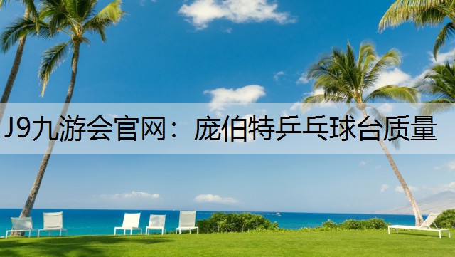 庞伯特乒乓球台质量