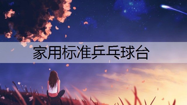 家用标准乒乓球台