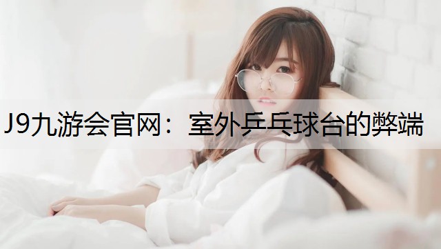 室外乒乓球台的弊端