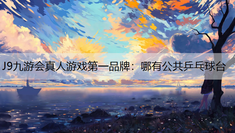 哪有公共乒乓球台