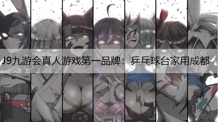乒乓球台家用成都