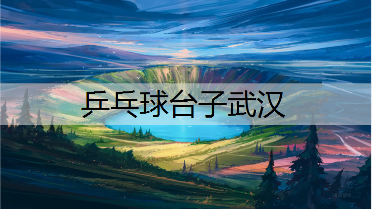 乒乓球台子武汉