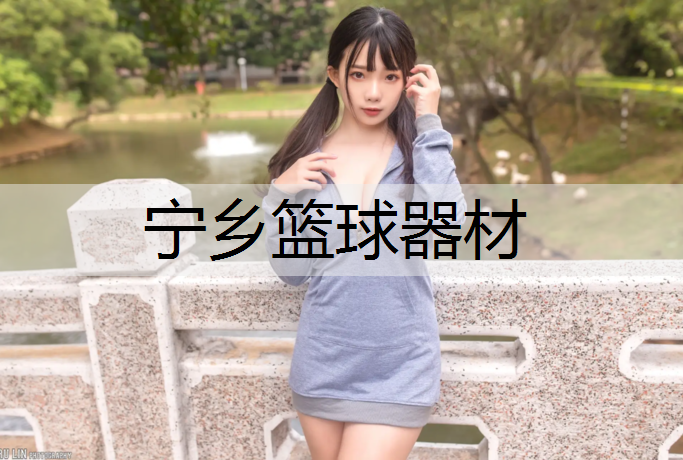 宁乡篮球器材