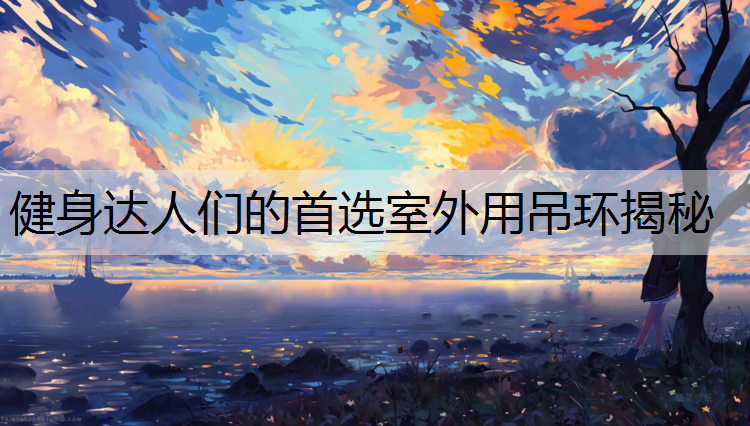 健身达人们的首选室外用吊环揭秘
